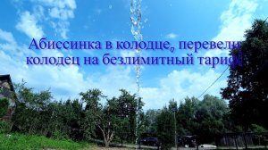 д  Мешково, абиссинка в колодце, перевели колодец на безлимитный тариф!