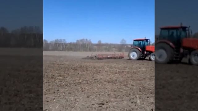 Культивируем поле под яровой БИО-овёс смотреть онлайн