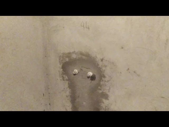 Обзор ЖК Амалиенау Хаус Внутри смотреть онлайн