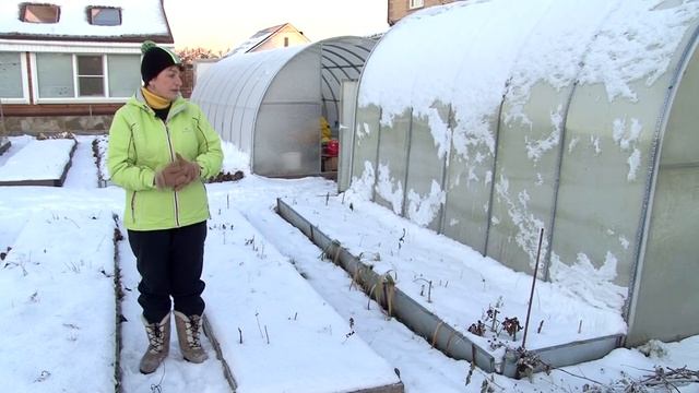 Теплица зимой - открывать или закрывать?