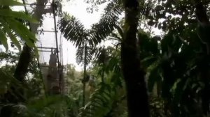 Золотой глобус 95  Коста Рика