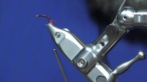 Мушка муравей