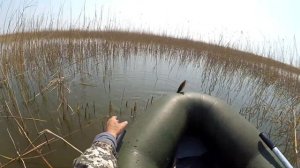 Рыбалка на боковой кивок в камышах - Ловля карася в мае