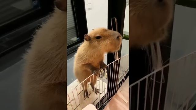 Весна. Витамины есть полезно
