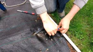 Монтаж капельной ленты. Клубника.