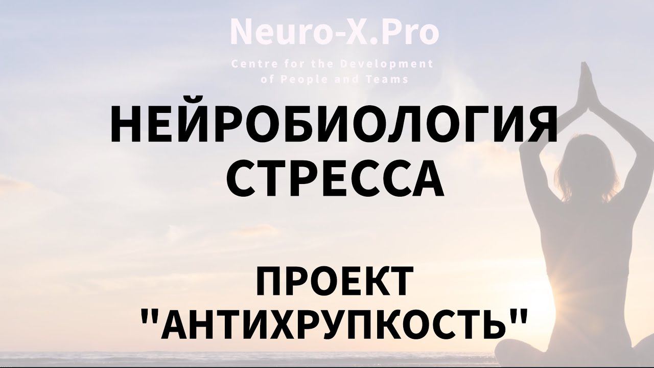 Нейробиология стресса. Антихрупкость. Стоицизм #антихрупкость #стоицизм #нейро  @galinabobriakova