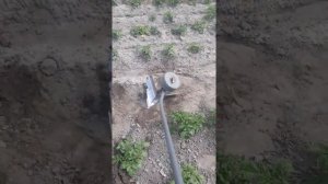 Ручной окучник в работе