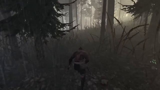 Первое Видео из игры The Stomping Land смотреть онлайн