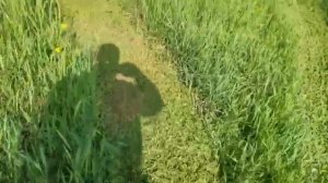 BCS Ferrari мотоблок 360