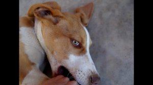 Sony DSC-HX100v photos 1-2 - Capelinha / Angelândia - MG