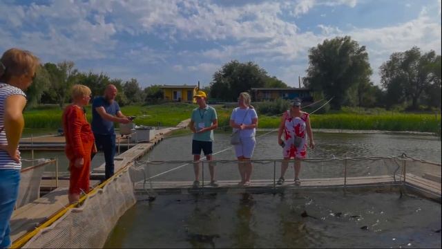 Как разводят самую вкусную рыбу?Осетровая ферма?Стерлядь?Астраханская область?