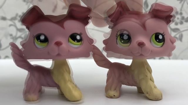 LPS: ОРИГИНАЛ ИЛИ ПЛАГИАТ? НОВЫЕ БЕЛЫЕ КОЛЛИ?! смотреть онлайн