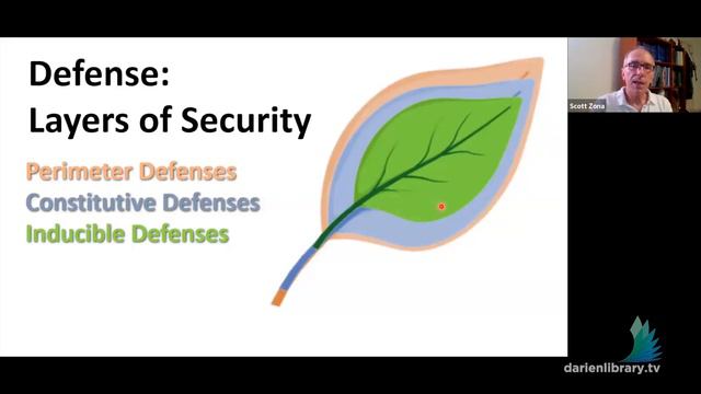 A Gardener's Guide to Botany with Scott Zona, Ph.D. смотреть онлайн