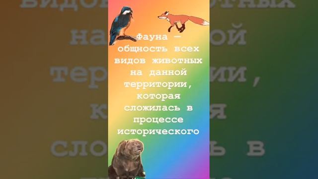 проект 