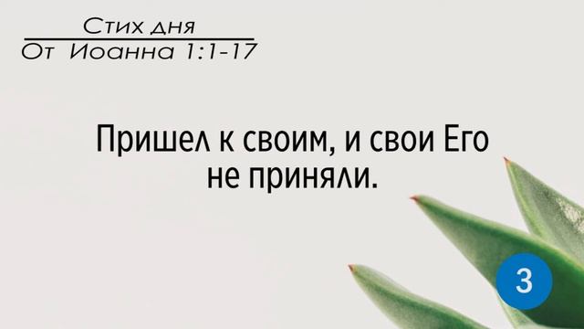 Тефиллин. От Иоанна 1:1-17. Повторение стихов 5 раз смотреть онлайн
