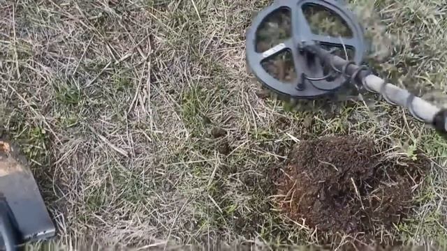 Копаем весной! Поиск с металлоискателем и настоящим Мишкой Журавлевым!