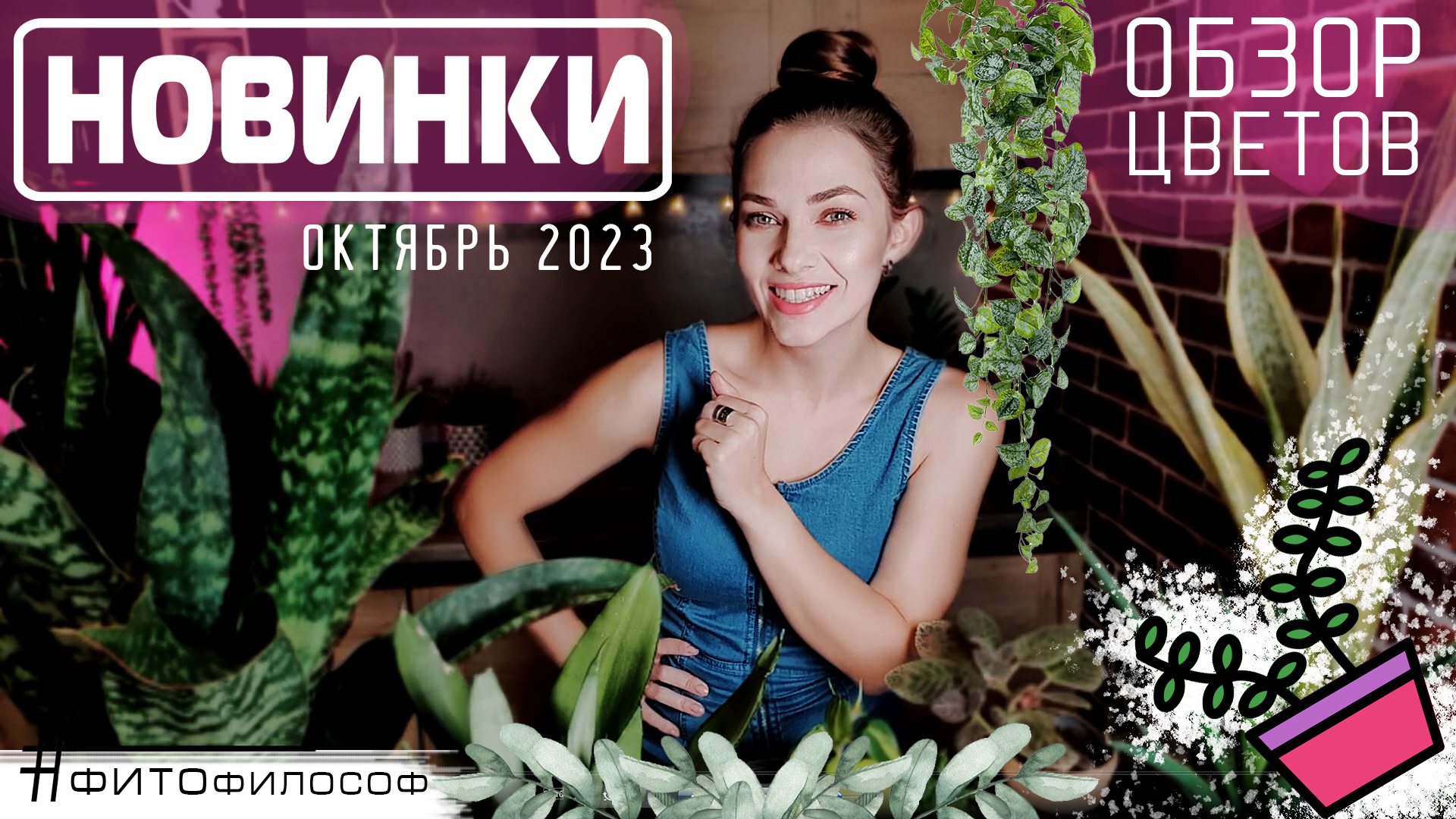 МОИ НОВИНКИ РАСТЕНИЙ. Октябрь 2023. Как я покупала в день по цветку!