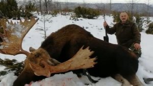 Камчатка Охота на Лося.