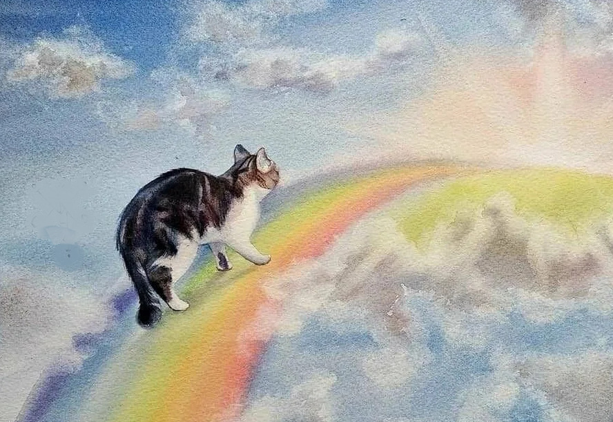 Кошки уходят на радугу картинки