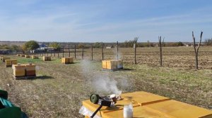 Доработка сублиматора и обработка пчёл