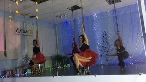 Экзотик пол-дэнс новогодний