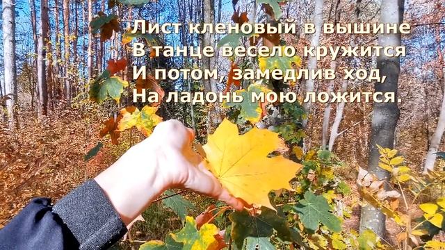 Улетают журавли, унося на крыльях осень. смотреть онлайн