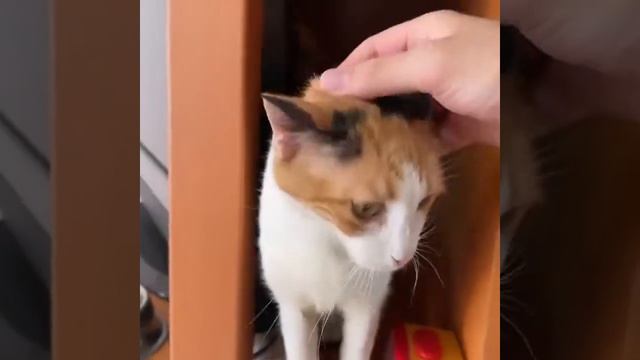 Дай бог здоровья этим людям 👍 смотреть онлайн