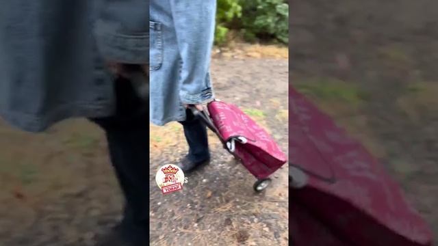 Купить сумку тележку можно по ссылке в описании смотреть онлайн