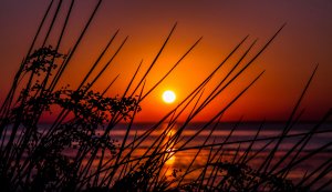 Доброго, Уютного Вечера!  СУбботний Вечер! Самая Красивое -Пожелание Прекрасного Вечера