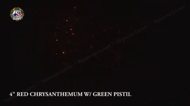 4d Red chrysanthemum w green pistil смотреть онлайн