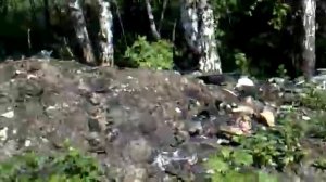 Дорога к Озеру.Раменский район.жуть.