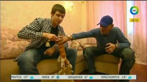 Полное и окончательное разоблачение Антуана Наджаряна (часть вторая)