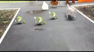 Годовщина развития канала: мышка-сосиска, жирный йогурт, зелёные жабы с Юпитера.