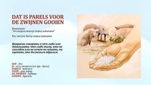 Метать бисер перед свиньями. Идиомы на голландском языке.