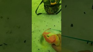 Эхолот Lucky Fish Finder FF1108-1