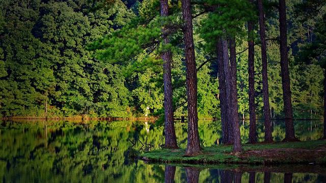 Контроль ЧЕРЕЗ ЦВЕТА. мОНИпуляция. СОЗНАНИЕ. ЧЕЛОВЕК 2017 смотреть онлайн