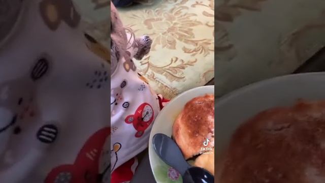 Сборник Басиков из тт(2 часть) смотреть онлайн