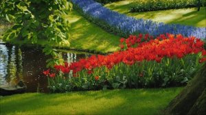 ПРОСТО НЕВЕРОЯТНАЯ МУЗЫКА! Музыка Сергей Грищук! Релаксация