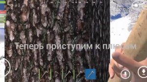 плюсы и минусы пве серверов | оксид