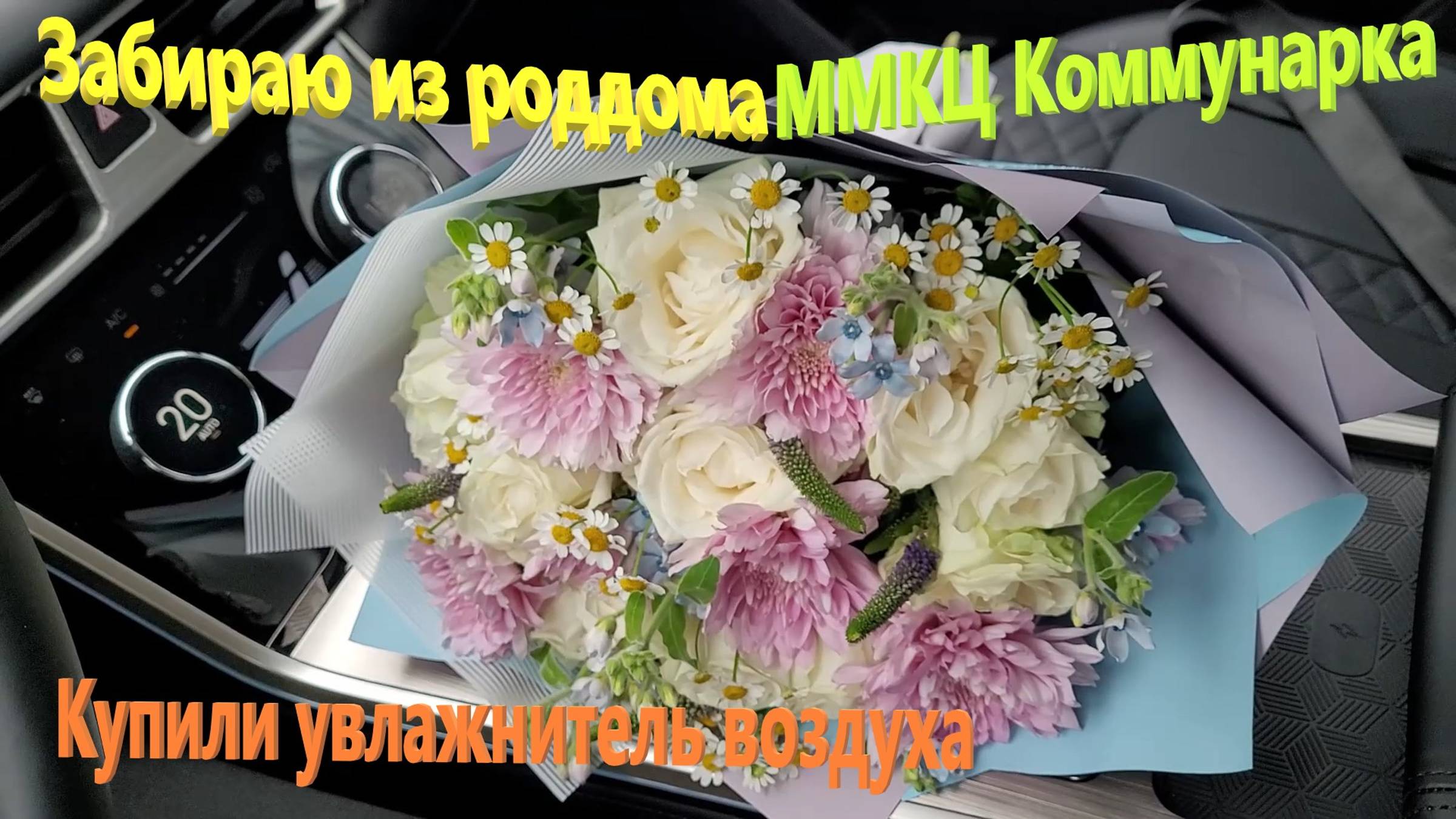 226. Готовимся к выписке из роддома ММКЦ Коммунарка. Купили увлажнитель воздуха Mijia на 4,5 л. смотреть онлайн