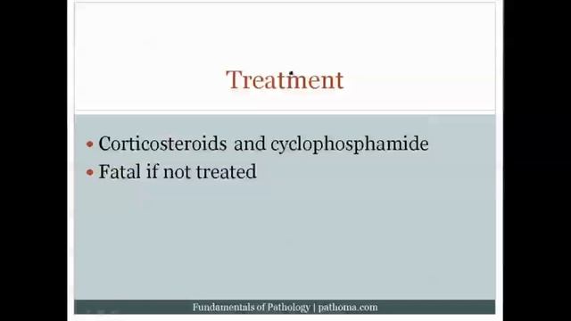 Pathoma USMLE - VII ГЛАВА - 1.Васкулит