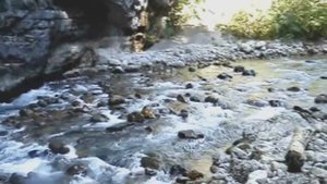 Седакъет Керимова "Зун"