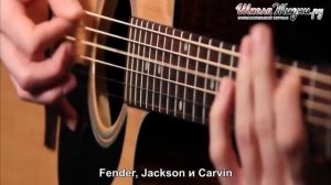 Из какого Дерева Делают Гитары