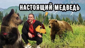 НАСТОЯЩИЙ МЕДВЕДЬ