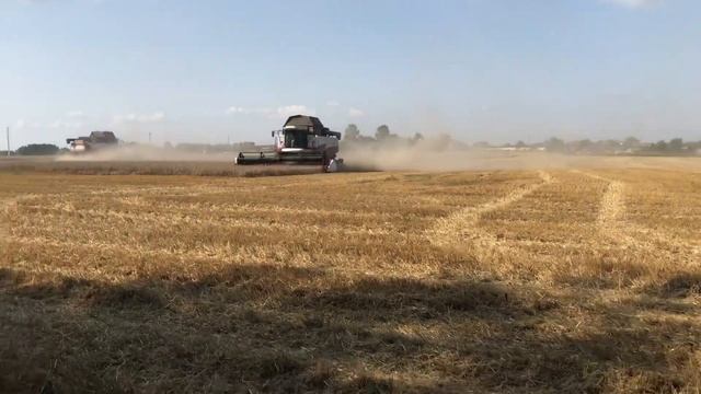 Уборка озимой пшеницы 2023 АКРОС 595 плюс ПАЛЕССЕ CS 3219 КЛААС 850 ХТЗ 12221