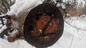 Годовщина 3-й ВОВ (СВО), 24.02.2023 г.