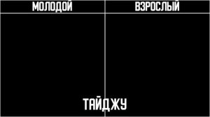 Взрослые Версии Персонажей в Аниме Токийские Мстители