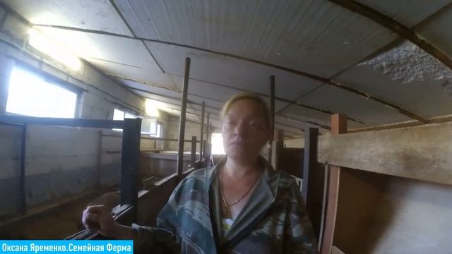 СТОИМОСТЬ поросёнка/ Трудозатраты/ МОДА смотреть онлайн