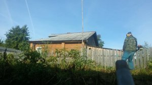 косим триммером ботву перед уборкой (леска ф 4)