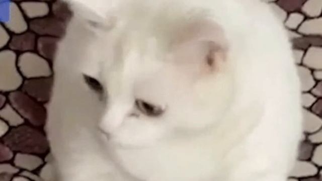 буэ 1 минута